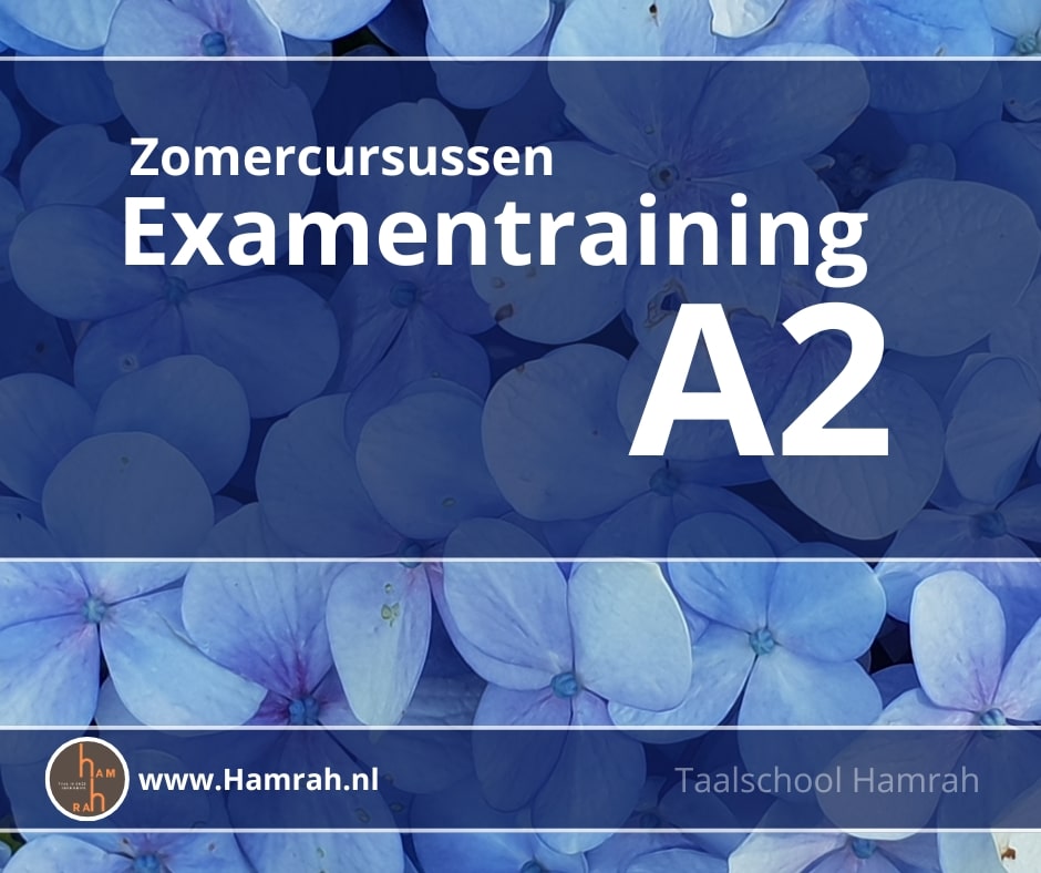 Zomercursussen Examentraining A2