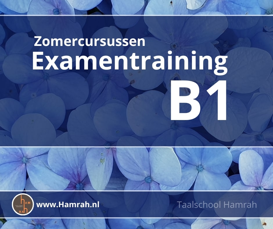 Examentraining B1 Juli