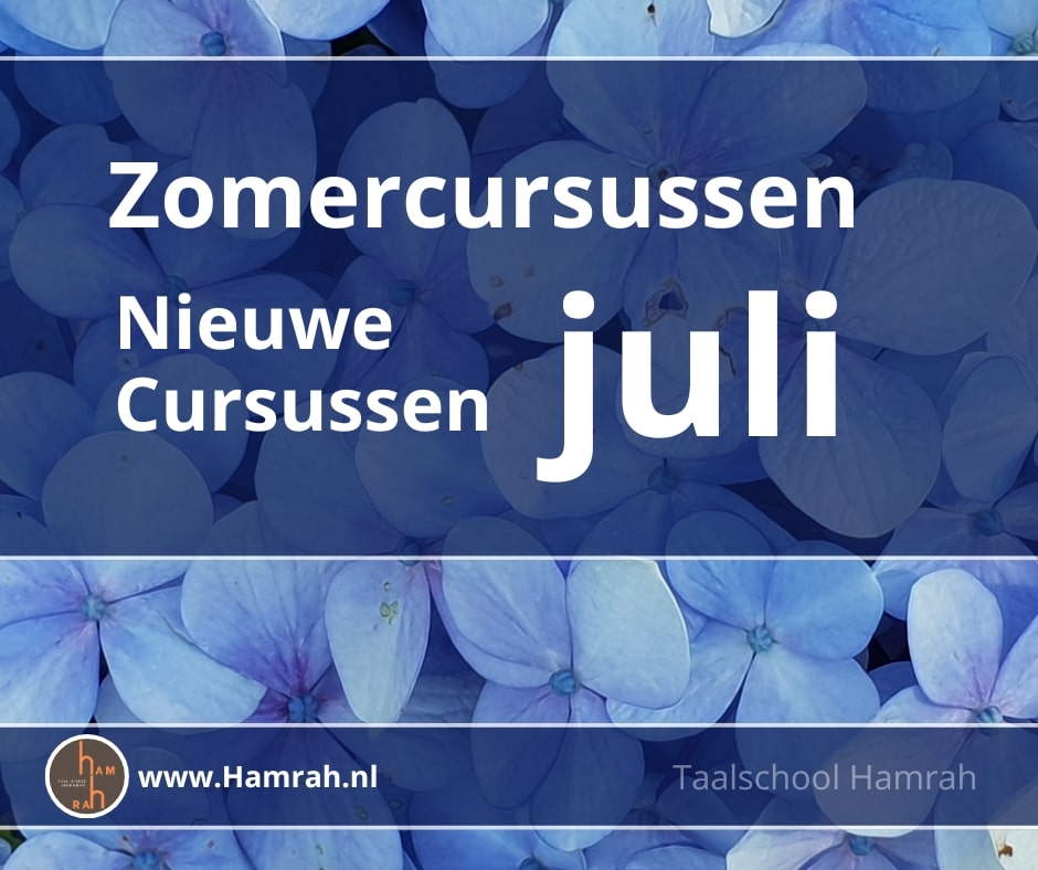 Zomercursus Nederlands